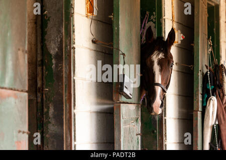 Il stabels a Fort Erie racetrack in Fort Erie, Ontario, Canada. Foto Stock