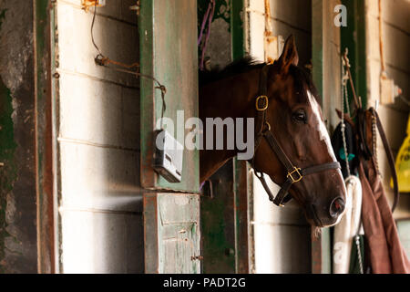 Il stabels a Fort Erie racetrack in Fort Erie, Ontario, Canada. Foto Stock