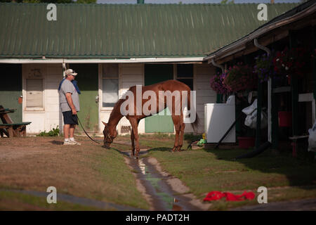 Il stabels a Fort Erie racetrack in Fort Erie, Ontario, Canada. Foto Stock