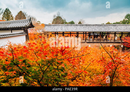Tempio Tofukuji con acero di autunno a Kyoto, Giappone Foto Stock