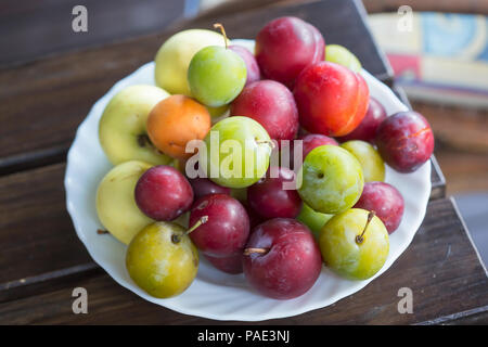Albicocche, inizio mele, mirabelle, susine acerbe (UME) e susine. Frutta estiva sulla piastra. Foto Stock