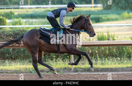 Un inizio di mattina allenamento a Fort Erie Racetrack la settimana prima che il Principe di Galles picchetti. Foto Stock