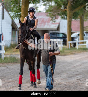 Un inizio di mattina allenamento a Fort Erie Racetrack la settimana prima che il Principe di Galles picchetti. Foto Stock