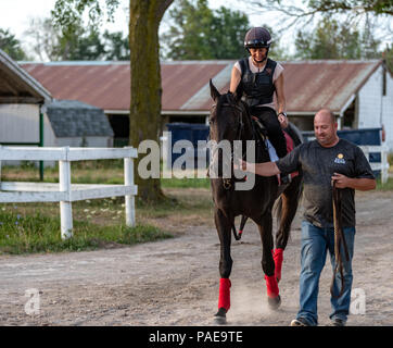 Un inizio di mattina allenamento a Fort Erie Racetrack la settimana prima che il Principe di Galles picchetti. Foto Stock