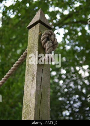 Nodo corda legata ad un palo di legno in una foresta Foto Stock