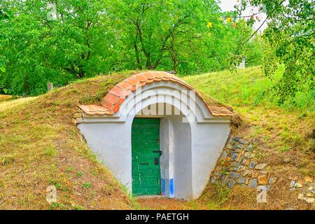 Cantine di Petrov Plze. Regione vinicola in Moravia del Sud, Repubblica Ceca Foto Stock