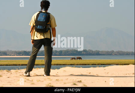 Safari a piedi. Parco Nazionale di Mana Pools. Zimbabwe Foto Stock