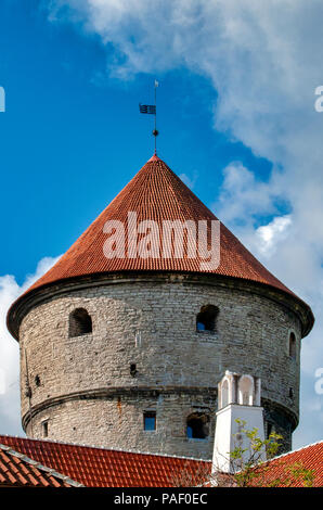 Kiek in de Kok (Peep in cucina) torre di artiglieria, Tallinn, Estonia Foto Stock