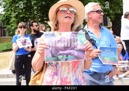 Anti BSL protesta in Westminster, Londra Foto Stock