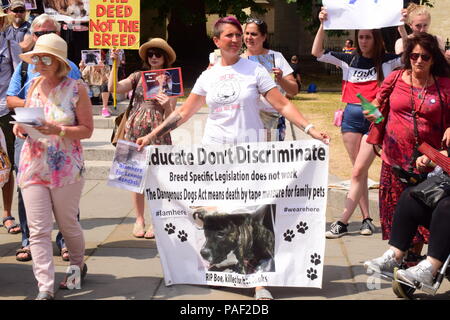 Anti BSL protesta in Westminster, Londra Foto Stock