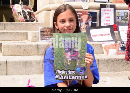 Anti BSL protesta in Westminster, Londra Foto Stock