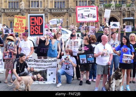 Anti BSL protesta in Westminster, Londra Foto Stock