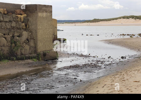 Alghe e le alghe sulle rocce nell'oceano Foto Stock