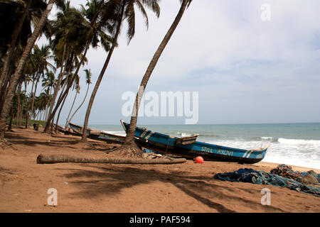 Barca da pesca ad una palma e alberato spiaggia vicino a Cape Coast, in Ghana Foto Stock