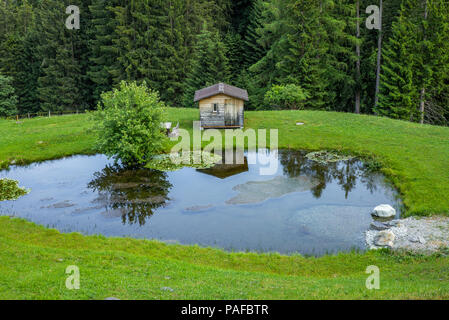 Una cabina di legno vicino a un piccolo lago nel Tschappina nel cantone svizzero dei Grigioni - 1 Foto Stock