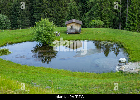 Una cabina di legno vicino a un piccolo lago nel Tschappina nel cantone svizzero dei Grigioni - 2 Foto Stock