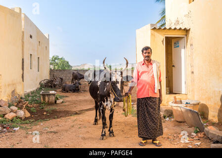 PUTTAPARTHI, Andhra Pradesh, India - 9 Luglio 2017: Indiano uomo con la mucca. Copia spazio per il testo Foto Stock