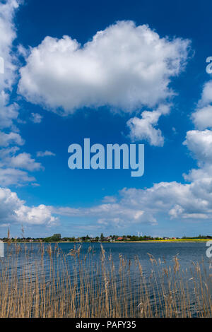 Vista attraverso il fiordo Schlei, la piccola cittadina di Arnison opppsite bank,landscape Angeln, Schleswig-Holstein, Germania Foto Stock