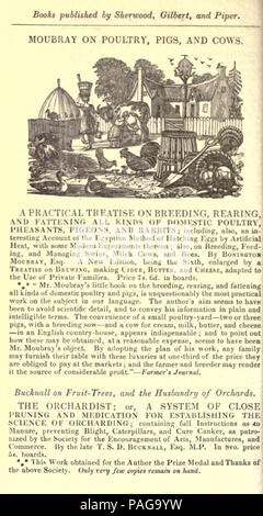 Un pratico trattato sulla riproduzione, allevamento e ingrasso, tutti i tipi di pollame domestico, fagiani, piccioni e conigli Foto Stock