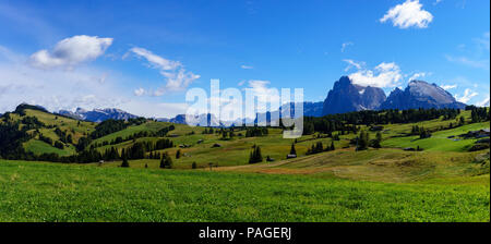 Immagine di panorama dell'Alpe di Siusi o Alpe di Siusi, una alta altitudine prato alpino delle Dolomiti con Sassolungo e Sassopiatto montagne sotto un laye Foto Stock