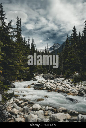 Una lunga esposizione del fiume Illecillewaet con montatura Sir Donald Glacier National Park in Canada. Foto Stock