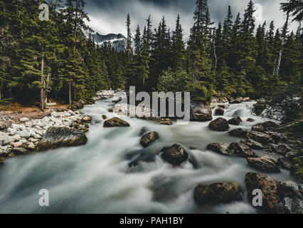 Una lunga esposizione del fiume Illecillewaet con montatura Sir Donald Glacier National Park in Canada. Foto Stock