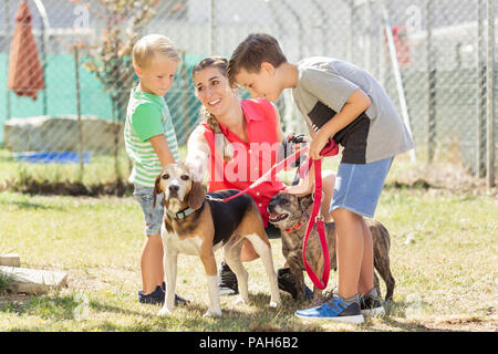 La mamma con i suoi figli pochi cani di un ricovero di animali Foto Stock
