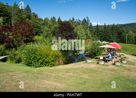 Molla di sale isola, British Columbia, Canada. Molla di sale dei vigneti e della cantina outdoor area picnic da stagno. Foto Stock