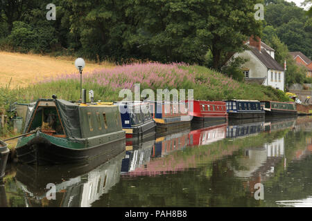 Narrowboats ormeggiato sul Staffordshire & Worcestershire canal a Stourton, vicino a Stourbridge, West Midlands, Regno Unito. Foto Stock