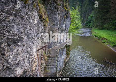 Fasi di ferro e le catene sul sentiero escursionistico chiamato Prielom Hornadu, lungo il canyon del fiume Hornad in Paradiso Slovacco National Park, Slovacchia Foto Stock