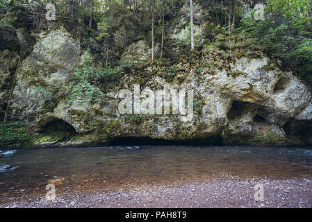 Fiume Hornad visto dal sentiero escursionistico chiamato Prielom Hornadu in Paradiso Slovacco National Park, parte nord della slovacca Monti Metalliferi in Slovacchia Foto Stock