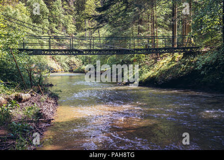 Uno dei ponti sul fiume Hornad canyon, parte del sentiero escursionistico chiamato Prielom Hornadu in Paradiso Slovacco National Park, slovacca Monti Metalliferi Foto Stock