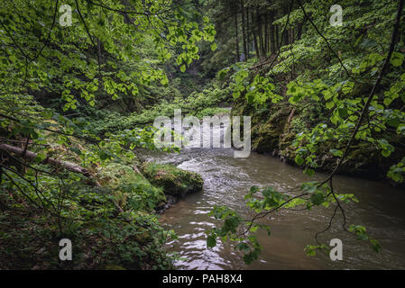 Fiume Hornad visto dal sentiero escursionistico chiamato Prielom Hornadu in Paradiso Slovacco National Park, parte nord della slovacca Monti Metalliferi in Slovacchia Foto Stock