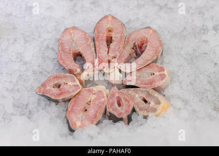 Bistecche di pesce di mare su ghiaccio. Dentice bianco bistecca su ghiaccio. Foto Stock