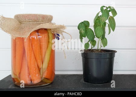 Vaso di vetro con le carote e il vaso di fiori sul ripiano di legno Foto Stock