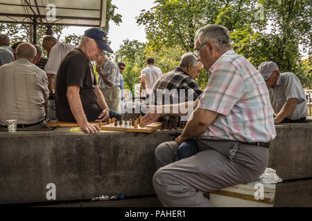 ODESSA, Ucraina - Agosto 14, 2015: gli uomini anziani a giocare a scacchi in un parco di Odessa, Ucraina, durante un pomeriggio pieno di sole foto di età compresa tra gli uomini che giocano a scacchi in Foto Stock