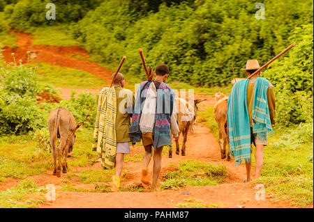 OMO, Etiopia - Settembre 19, 2011: Non identificato ragazzi etiope con gli asini. Persone in Etiopia soffrono di povertà a causa della situazione instabile Foto Stock