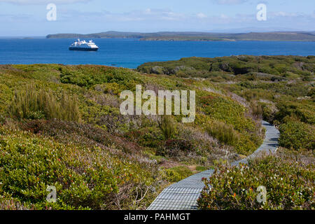 Il Boardwalk su Enderby Island, Nuova Zelanda Foto Stock