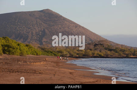 I turisti su Espumilla isola, isole Galapagos Foto Stock