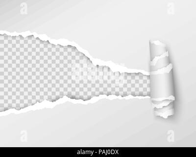 Presenza di frammenti di carta. Foro di realistico nel foglio di carta su uno sfondo trasparente. Illustrazione Vettoriale Illustrazione Vettoriale