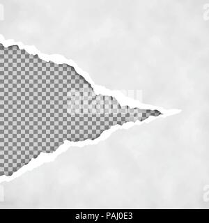Grigio strappato carta aperto con sfondo trasparente. Strappato il foglio di carta. Strappato il bordo della carta. Trama della carta. Illustrazione Vettoriale Illustrazione Vettoriale