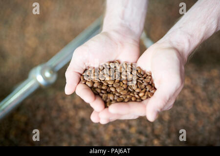 Pugno di chicchi di caffè tostati Foto Stock