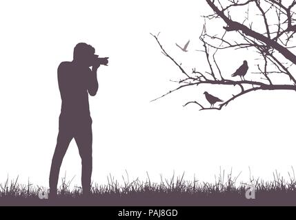 Un giovane uomo nella natura a fotografare gli uccelli seduto sul ramo di albero - vettore Illustrazione Vettoriale