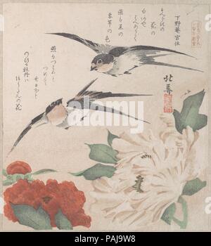 Molla di raccolta pioggia (Harusame shu), vol. 3: Rondini e peonie. Artista: Teisai Hokuba (giapponese, 1771-1844). Cultura: il Giappone. Dimensioni: 8 1/4 x 7 1/16 in. (21 x 17,9 cm). Data: ca. 1820. Surimono privatamente sono pubblicati woodblock stampe, di solito commissionato da poeti di singoli o di gruppi di poesia come una forma di Nuovo Anno di biglietto di auguri. Le poesie, più comunemente kyoka (spiritoso trentuno versetto sillaba), riportato sulla stampa di solito comprendono felice immagini collegate con molla, che nel calendario lunare inizia il primo giorno del primo mese. Temi di surimono sono spesso erudito, Foto Stock