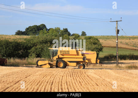 New Holland TX65 Mietitrebbia parcheggiata in un campo inglese. Foto Stock