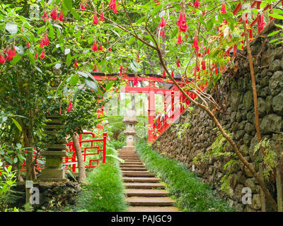 Monte Palace Tropical Garden, Funchal, Madeira Foto Stock