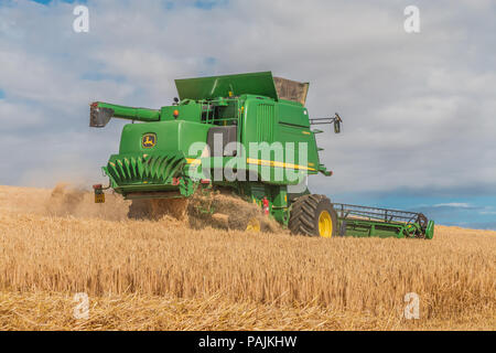 Agricoltura del Regno Unito, John Deere mietitrebbia Hillmaster durante il lavoro su un inverno di raccolto di orzo Foto Stock