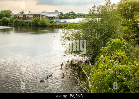 Centro visitatori e del lago alla Attenborough Riserva Naturale, Nottinghamshire, England, Regno Unito Foto Stock