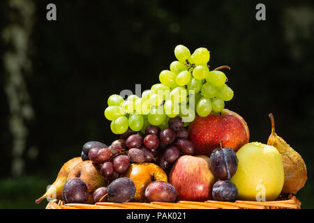 La raccolta della frutta a fine estate - Mele, pere, prugne e uva Foto Stock