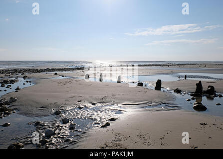 Resti di vecchi difese di mare o pennelli lungo la spiaggia con la bassa marea a East Preston, West Sussex. La gente del posto accostarle squali' alette Foto Stock